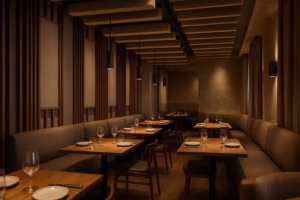professional restaurant soundproofing solutions